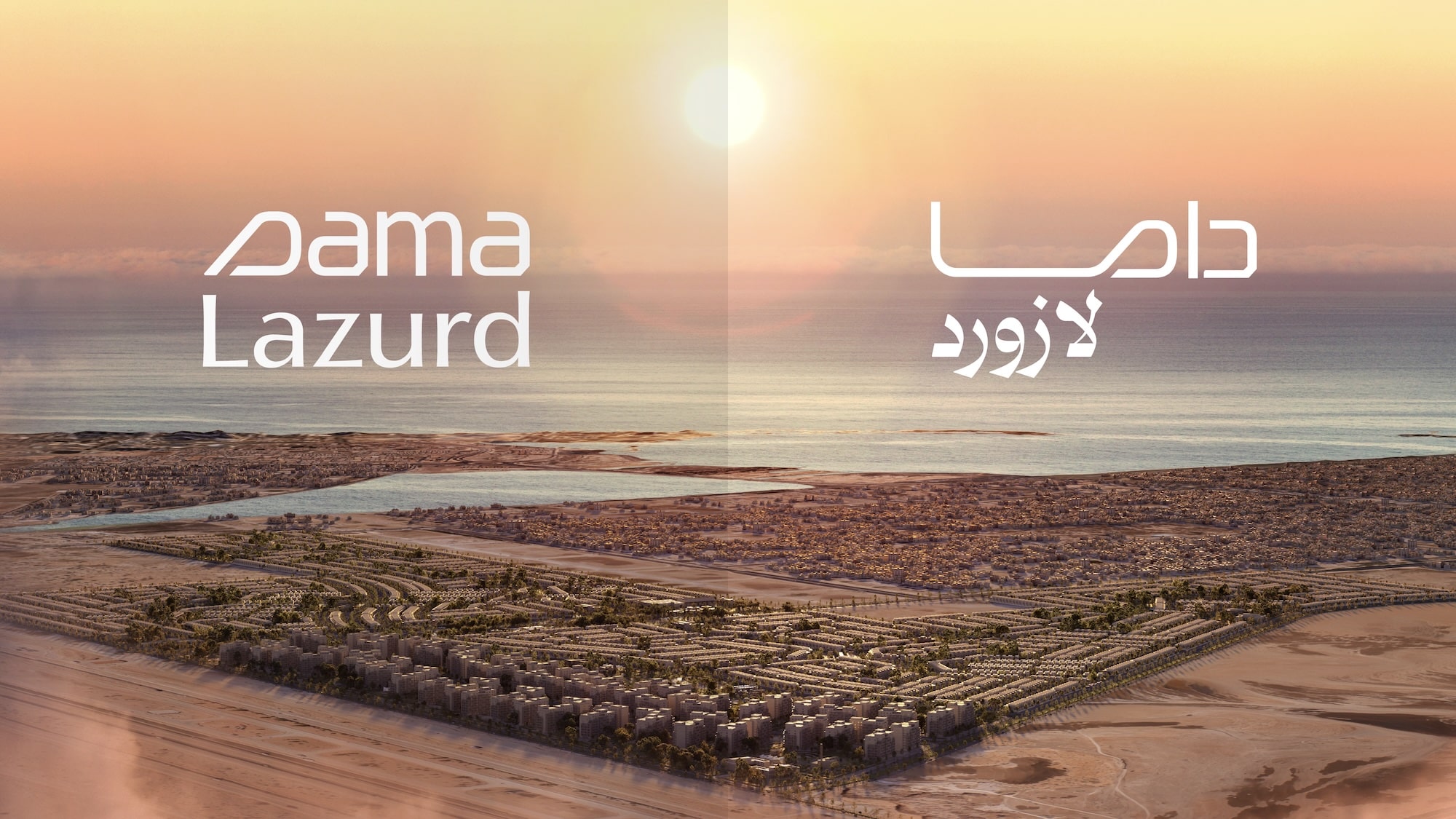 Lazurd Website-01-min